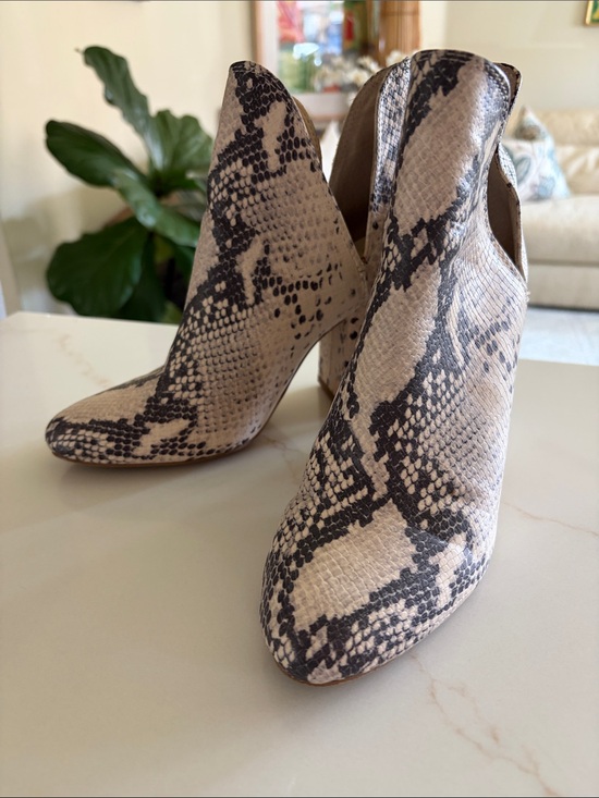 Steve Madden Shoes - Steve Madden Beige and Black Snake-Print Ankle Booties